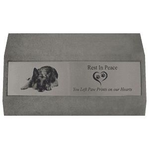 Personalised Desktop Pet Memorial